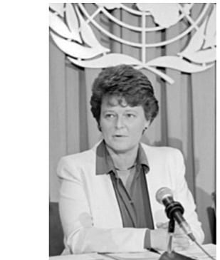 Informe Brundtland