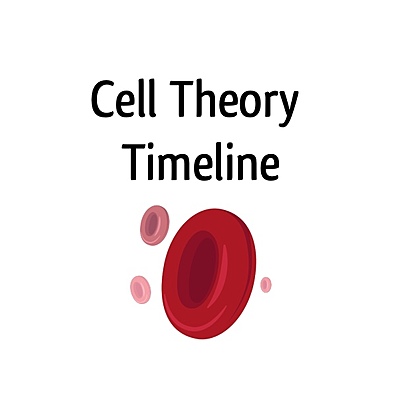 Timeline: Cell Theory Time Line