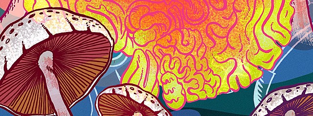 LSD declared illegal by the U.S. government