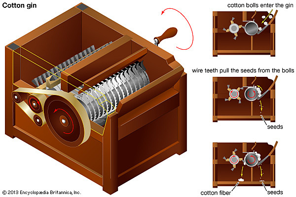The Cotton Gin