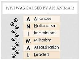 Causes Of WW1