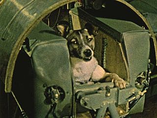 First animal in space by USSR