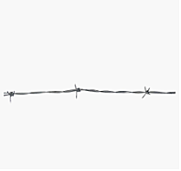 Barbed Wire
