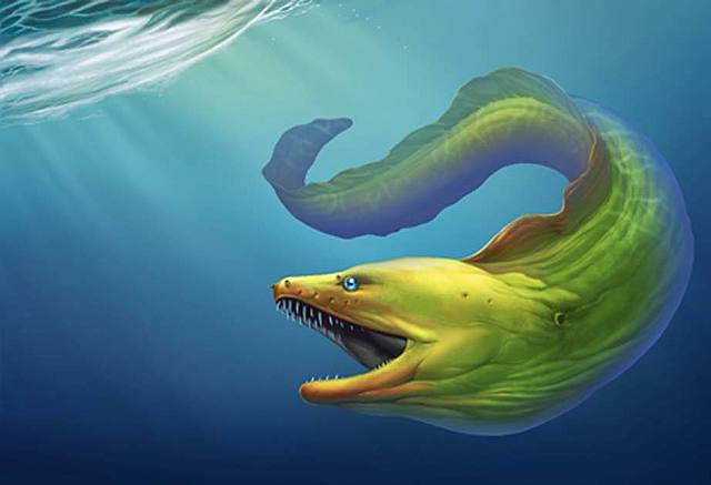 A new scientific study