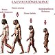 La evolucion humana