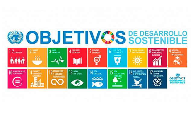 2015: Cumbre Desarrollo Sostenible (Nueva York)