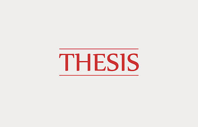 Thesis and Work