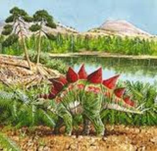 Mesozoic Era
