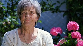 Timeline: VIDA DE CECILIA - Caso de Análisis