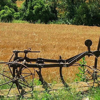 Timeline: l'arada: desconegut a.C 300 (IV) Per produir menjar .És un instrument agrícola que permet d'obrir solcs a la terra