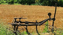 Timeline: l'arada: desconegut a.C 300 (IV) Per produir menjar .És un instrument agrícola que permet d'obrir solcs a la terra