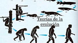 Timeline: DESARROLLO DE LA TEORÍA DE LA EVOLUCIÓN