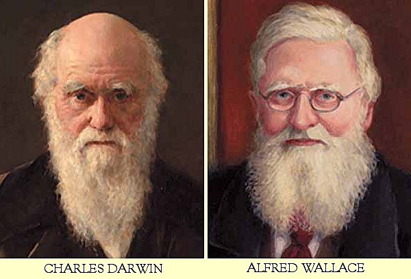 Charles Darwin (1809-1882) y Alfred Wallace (1823-1913)