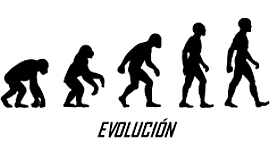 Timeline: El desarrollo de la teoría evolutiva.