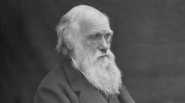 La selección natural (Darwin)(1809-1882)
