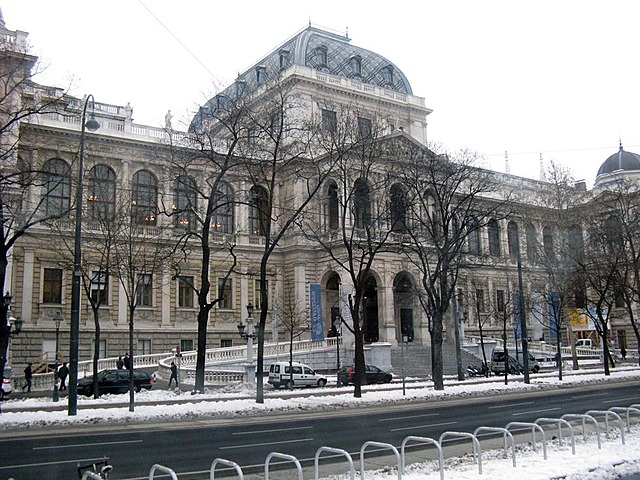 University Graduation