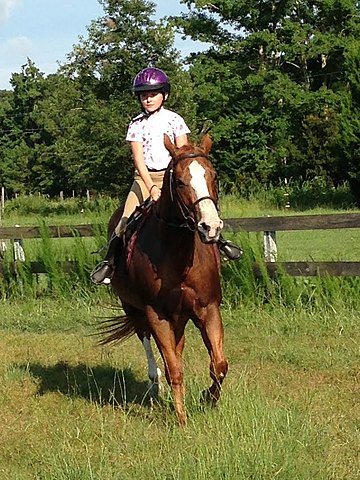 Monta a Caballo: dos mil catorce