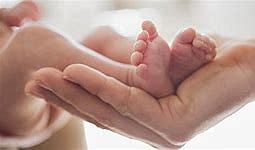 Scott Russell Hayes was born