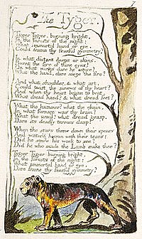 'Tyger! Tyger! burning bright' - William Blake