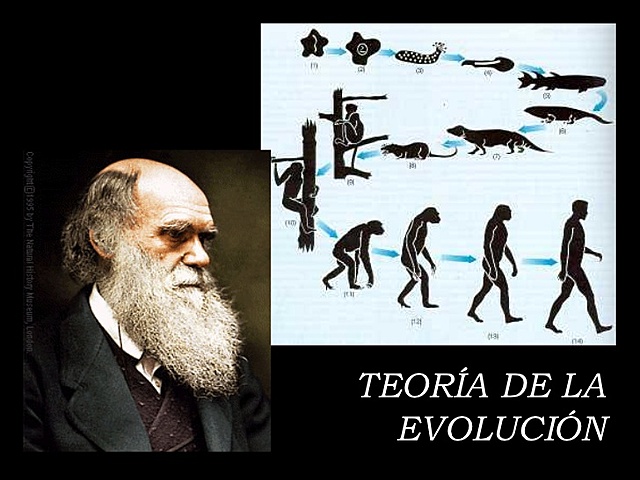 Darwin: Teoria de la Evolución