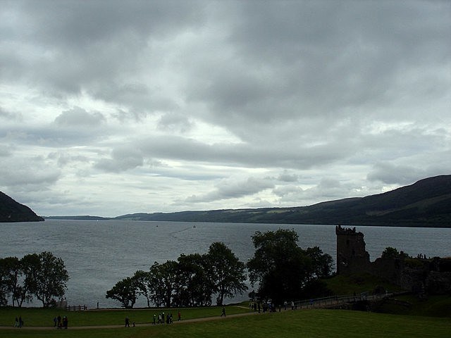 testimony of Arthur Grant