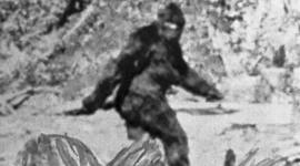 Timeline: Bigfoot