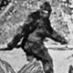 105951036 1559761167164bigfoot
