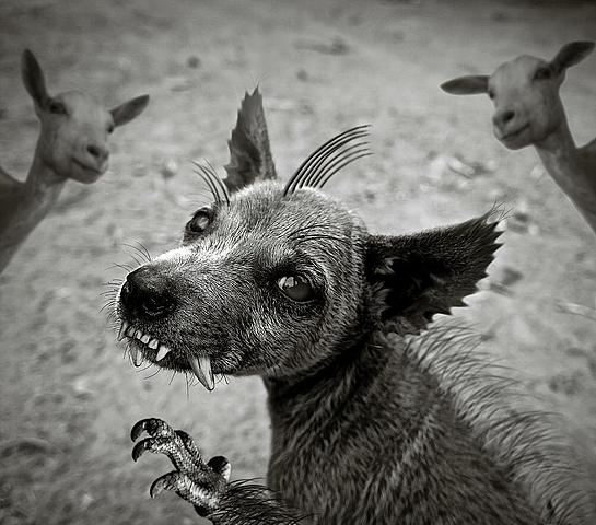 Descriptions of the monster