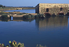 L'origen de l'energia mareomotriu