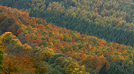 Timeline: La Estrategia Vasca de Cambio Climático