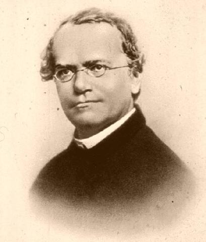 Gregor Mendel finds out how parents pass on discrete inheritable traits