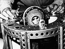 First animal in space by USA