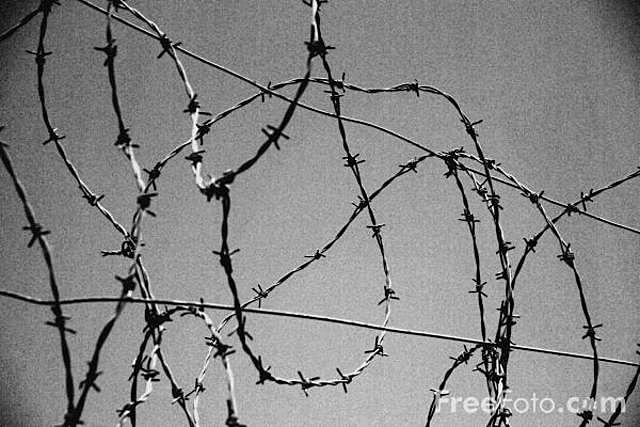 Barbed Wire
