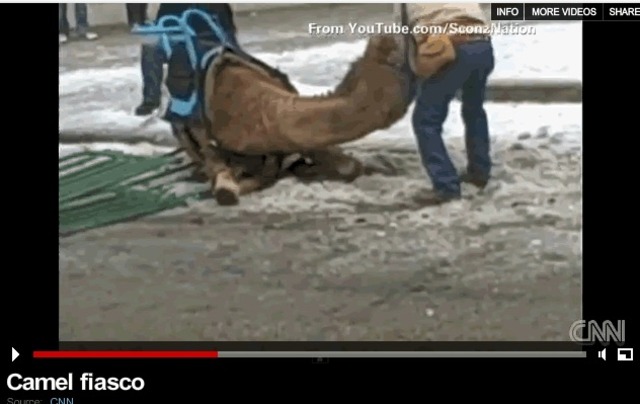 News Falsifies Camel Footage