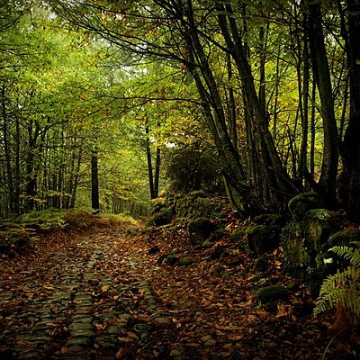 Timeline: Incendios en la Sierra de Gata