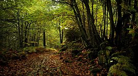 Timeline: Incendios en la Sierra de Gata