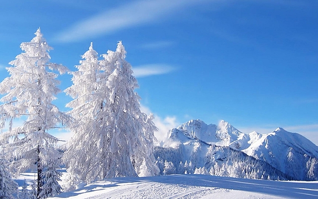 Me voy a pasar el día al monte
