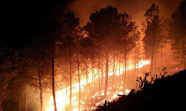 Incendios en la Sierra de Gata