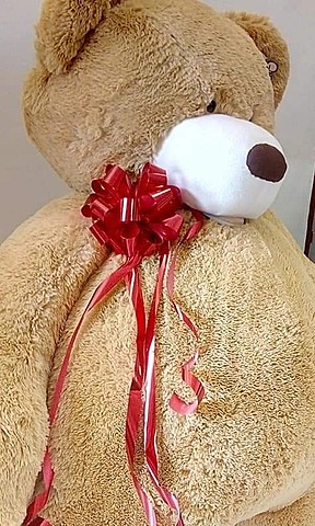 ¡Regalo de Navidad!