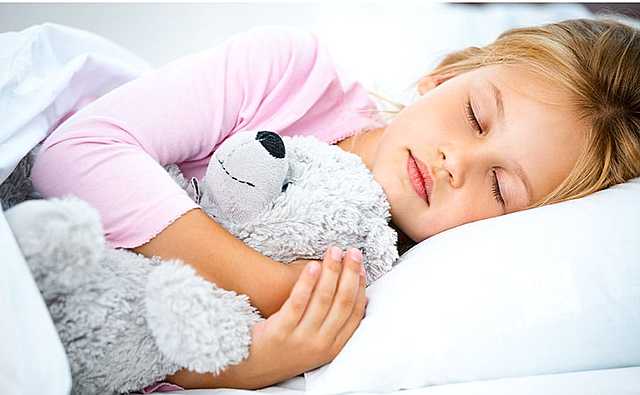 Compañero de sueños