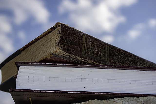 Primer hermano (segundo manual)