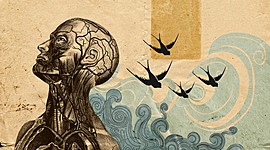 Timeline: DESCUBRIMIENTOS E INVENTOS EN LA HISTORIA DE LA MEDICINA