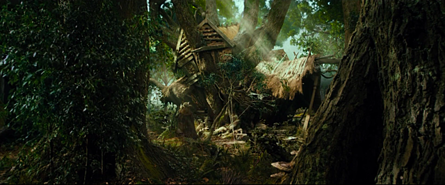 Radagast the brown's home