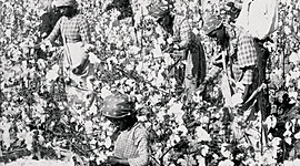 Timeline: Slavery Leads to the Civil War