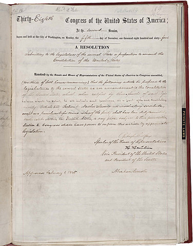 The Thirteenth Amendment