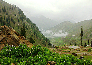 Babur Crosses the Khyber Pass