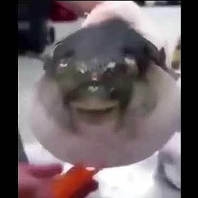 Timeline: Evolució historica dels drets laborals