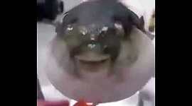 Timeline: Evolució historica dels drets laborals