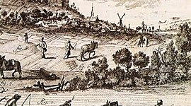 Timeline: LINIA DEL TEMPS