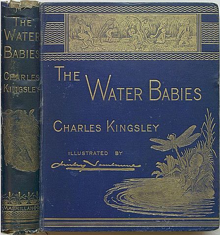 The Water-Babies - Charles Kingsley